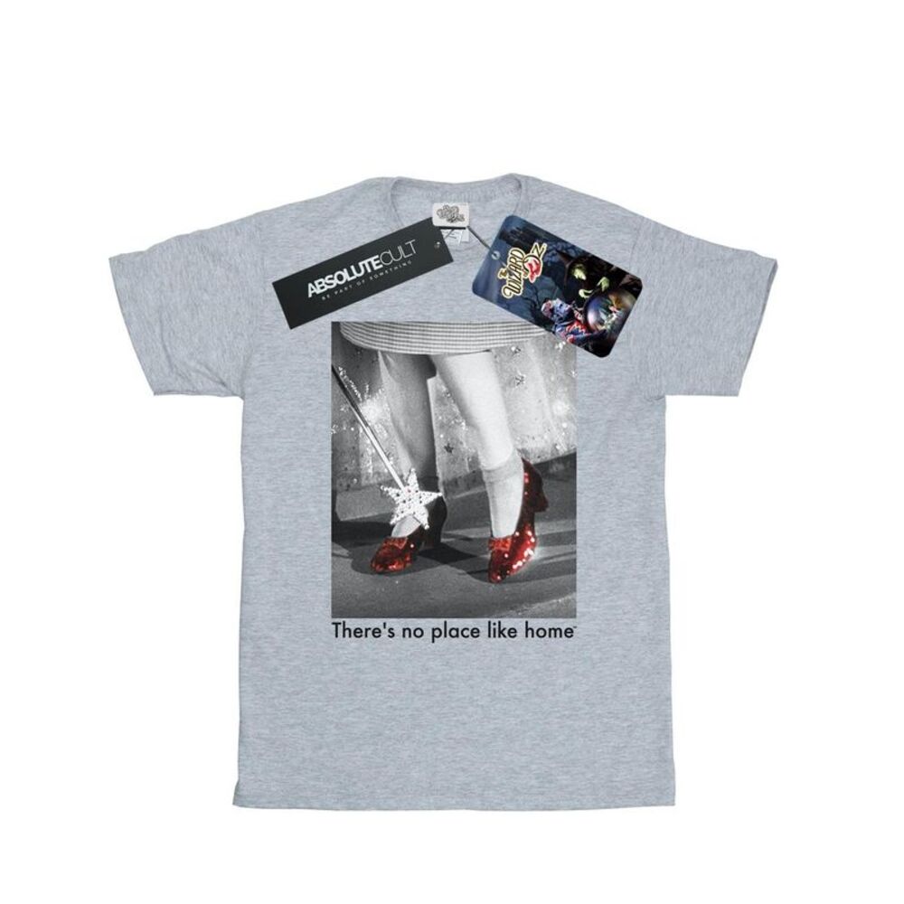 The Wizard Of Oz Mens Ruby Slippers Photo T-Shirt / Sports Grey
